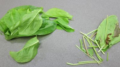 Salade de pommes de terre, bleue d'Artois ou Valfi - 2.1