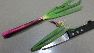 Potage aux courgettes - 1.1