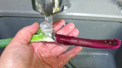 Potage aux courgettes - 1.2