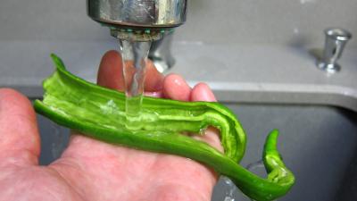 Potage aux courgettes - 3.1