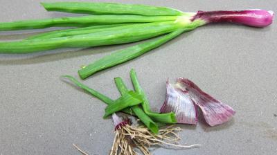 Blanquette de légumes - 3.2
