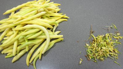 Blanquette de légumes - 5.4