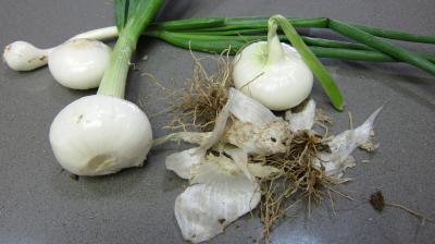 Gazpacho andalou aux poivrons verts - 3.2
