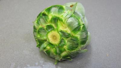 Artichauts en ratatouille - 5.1