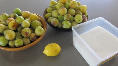 Ingrédients pour la recette : Marmelade facile de prunes variées