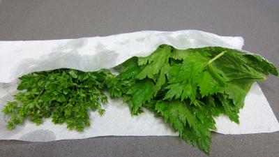 Sauce tomate au basilic en conserve - 1.2