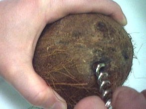 Punch à la noix de coco - 2.1
