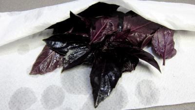 Blettes et oseille aux oeufs durs - 1.2
