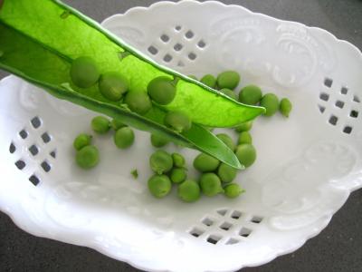 Terrine de légumes au thon - 1.1