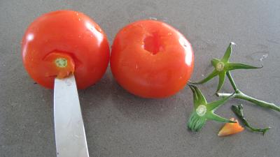 Tomates farcies au tofu - 1.2