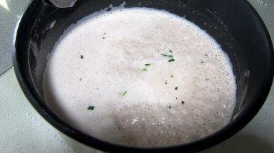Sauce au sureau et à l'étoile du Vercors - 3.3