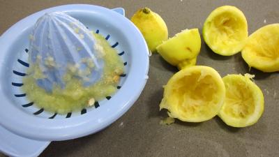 Confiture de melons - 3.2