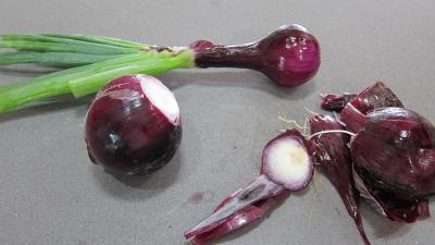 Conserves de ratatouille du jardin - 1.4