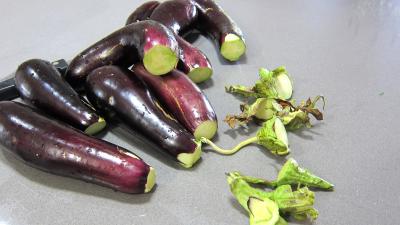Conserves de ratatouille du jardin - 8.1