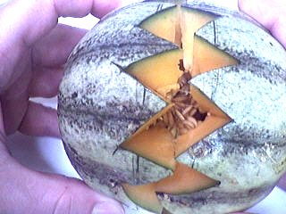 Soupe de melon - 6.1