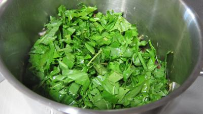 Conserve de ragoût de blettes et d'oseille au basilic - 7.2