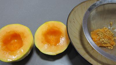 Mascarpone au melon - 7.3