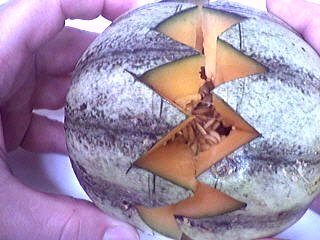 Melons en blanquette - 6.2