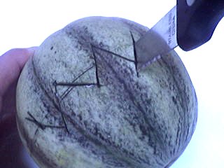 Melons en blanquette - 6.1