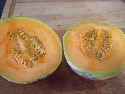Salade de melon meringuée - 4.1
