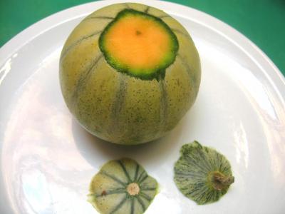 Salade de melon aux graines de tournesol - 4.2