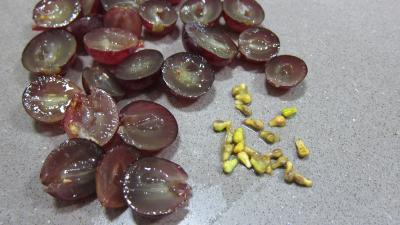 Fruits rouges et fruits d'été aux petits suisses - 1.4