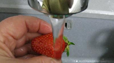 Fruits rouges et fruits d'été aux petits suisses - 1.2