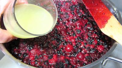 Confiture de fruits rouges - 2.3