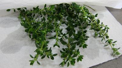 Consommé aux abatis de volaille - 2.2