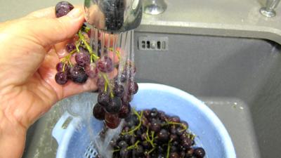 Confiture de raisins - 1.2