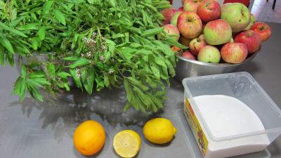 Ingrédients pour la recette : Gelée de pommes à la verveine
