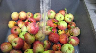 Gelée de pommes à la verveine - 3.2