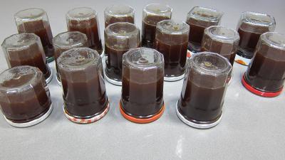 Gelée de pommes à la verveine - 7.2