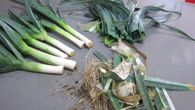 Poireaux farcis en cassolettes - 2.1