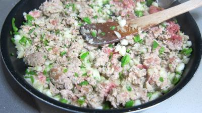 Quesadillas au filet de porc revisités - 6.2