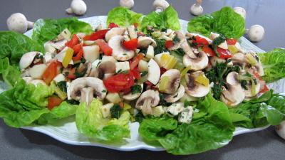 mozzarella : Plat de bettes en salade