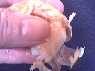 Foie gras aux langoustines - 7.2