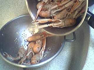 Foie gras aux langoustines - 4.3