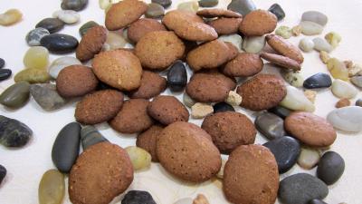 noisette : Croquants aux noisettes sans gluten