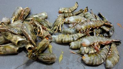Gambas flambées - 2.3