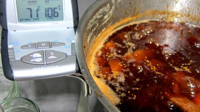 Confiture de feijoas à la vanille - 4.2