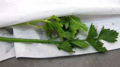 Soupe vitelottes et poireaux - 3.3