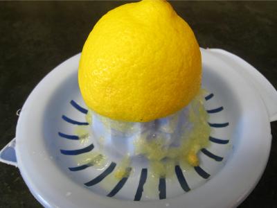 Fromage blanc de chèvre - 2.1
