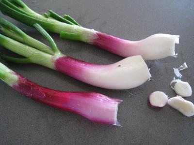Soupe de riz aux gambas et ognasses - 2.3