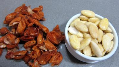 Restes de chapon à la chinoise - 1.4