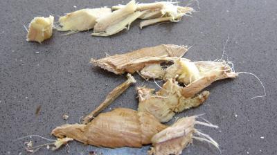 Soupe de poisson et crustacés façon chinoise - 1.4