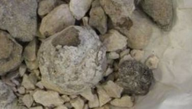 Image : Ambre gris - Ambre gris