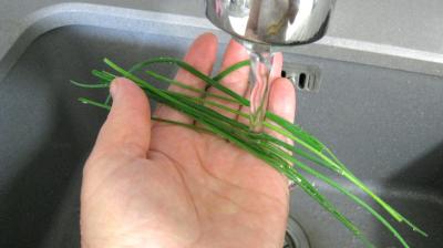 Roussette aux poivrons - 1.1