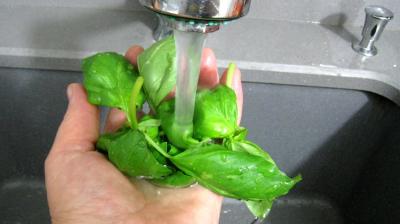 Salade de thon et poivrons - 6.3