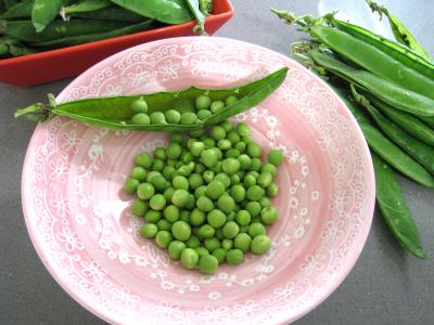 Soupe aux petits pois - 2.3